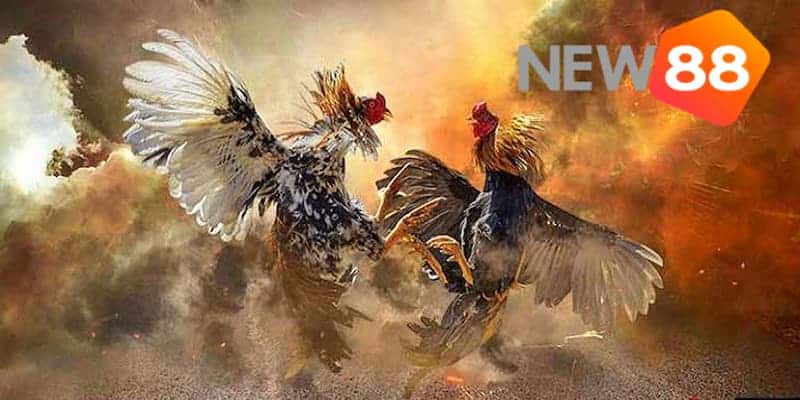 Chiến lược cùng những kỹ thuật đặt cược hiệu quả